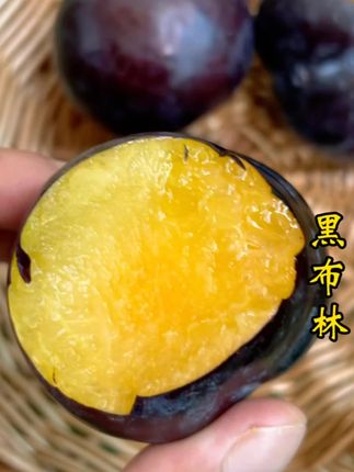 八九分甜一两分酸的黑布林大李子你吃过吗?放软在吃就更甜哦#黑布林 #黑布林李子 #李子 #应季水果 #优质农产品