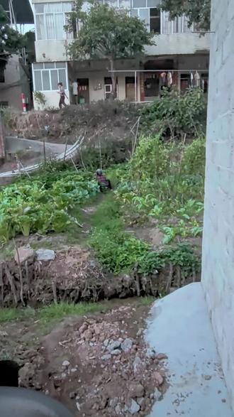 龟龟说一秒不用剪,这不是真爱是什么#好闺蜜 #真爱 #有想吃的吗 #好龟蜜 @一天吃八顿