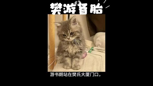 【樊游备胎】游书朗在樊氏楼下等樊霄被员工嘲笑是痴心妄想的穷酸备胎!樊霄当场牵人上车,叫老婆 #樊游 #樊霄游书朗 #四面佛 #同人文