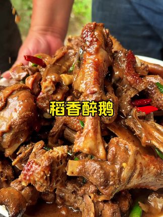 今天来做个稻香醉鹅,稻草烧过的鹅肉,满满的米香味,加上公文包大火一焖,这道醉鹅真的太香了!#三农 #新农人计划2025 #青年创作者成长计划 #农村黄煮任 #乡村美食
