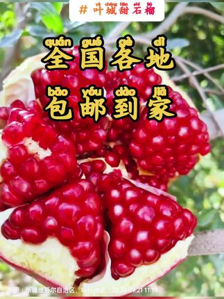 #dou上热门 #石榴 @DOU+小助手