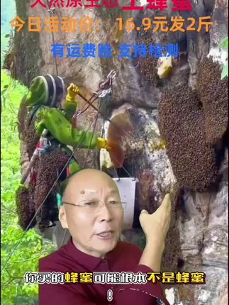 纯天然原生态土蜂蜜#强烈推荐