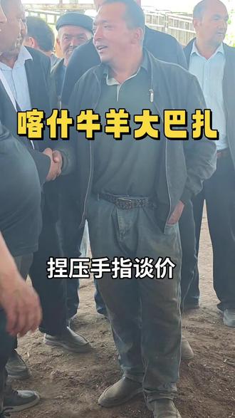 喀什牛羊大巴扎每周日才有,我们运气很好,最近很多人跑空,我们的行程刚好回喀什赶上。#喀什#牛羊大巴扎 #南疆 #新疆