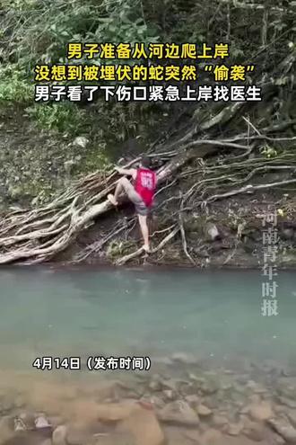 蟒蛇访问了你QQ空间