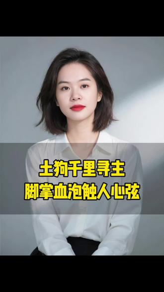 土狗挣脱锁链,30多公里奔袭寻主