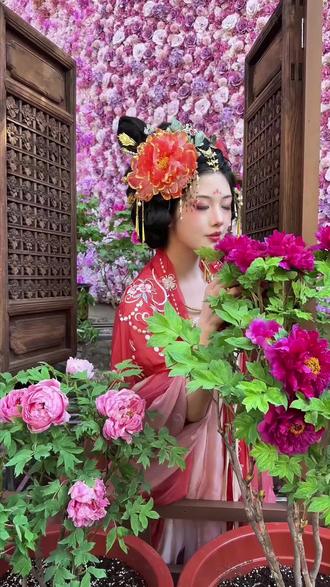 昙华寺第十五届牡丹花展 2026年2月10日-3月9日 往年火遍昆明的牡丹回来了 数千盆牡丹齐绽放~
#牡丹花展
#昙华寺
#昙华寺牡丹花展
#想去云南的心达到巅峰#汉服之美