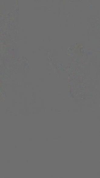 有余数的除法#二年级下册数学