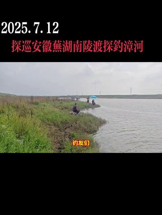 旺季鱼情没赶上……#原创视频 #户外钓鱼 #收获不理想