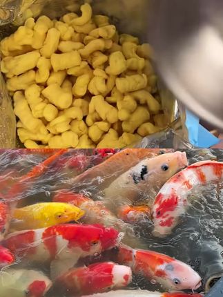 和 @秒变食神 一起 #合拍 #锦鲤好运 #美食 #办公室零食 好吃好吃