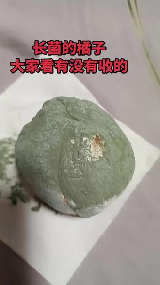 出一长菌粉的橘子!听说值500元#谁知道这是什么 #你能叫出它的名字吗 #纯天然美食