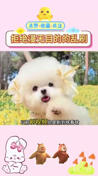 拒绝漫无目的的乱刷 #红果短剧#你的短剧搭子#短剧推荐#热门#娱乐评论大赏