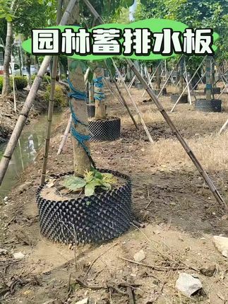 园艺蓄排水板,结实耐用板,可以反复使用很多年#蓄排水板