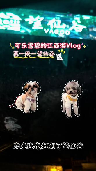带狗狗游江西day1#养宠物的乐趣 #我和宠物日常 #人与动物和谐共处 #养宠物哪有不疯的 #宠物出游vlog