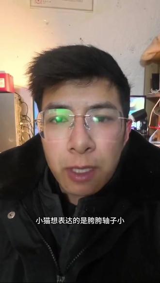 猫为什么不喜欢和狗一起玩#猫咪 #狗狗 #家有萌宠 #科普