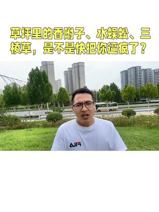 草坪里的香附子、水蜈蚣、三棱草,是不是快把你逼疯了? #园林绿化 草坪除草#莎草 #香附子 #草坪养护