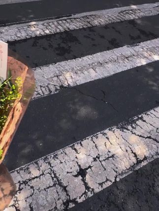 枸杞