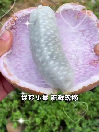 迷你小果八月瓜新鲜现摘软糯香甜当季水果顺丰包邮