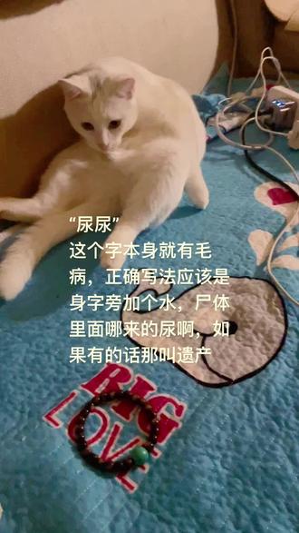 #萌宠出道计划 某专家给改了,念尿sui