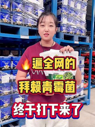 火遍全网的拜赖青霉菌终于打下来了 放根腐欧根烂根一亩地用一袋