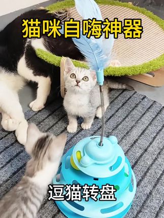 【逗猫转盘】一个多月大的小奶猫都会玩了!这款逗猫转盘,是猫咪的自嗨神器,猫咪能开心玩一整天!#萌宠好物 #转盘 #猫玩具 #无限回购的宝藏单品 #随时随地标记一下