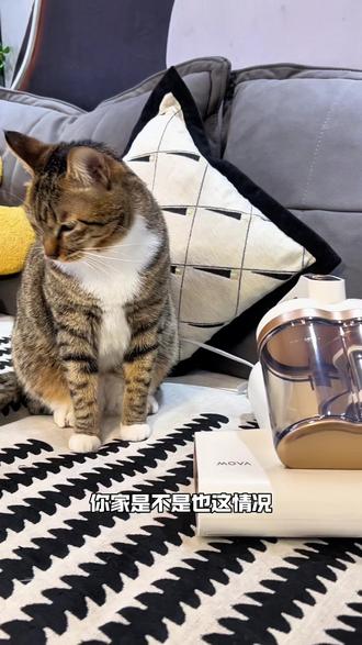 宠物家庭的清洁小助手,有它好幸福~#除螨仪#MOVA除螨仪#MOVA除螨仪D10Ultra