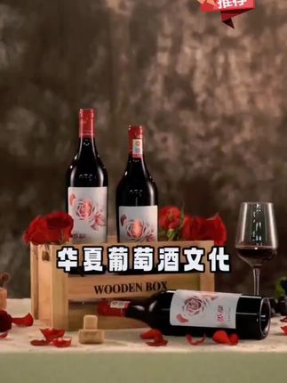 览翠【有机】珍藏2020红酒贺兰山东麓国产干红葡萄酒混酿酒庄酒#览翠 #览翠葡萄酒 #红酒 #葡萄酒 #宁夏贺兰山东麓葡萄酒