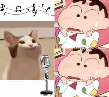 和 @鲤娱胖胖猫 一起 #合拍