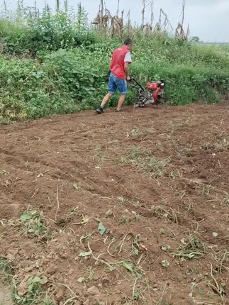 小型柴油耕地机#三农种植 #新农人计划 #农用工具 #微耕机 #农民种地