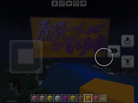 愿得一人心,白首不相离#我的世界