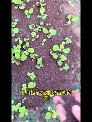 为什么只要有妈妈在,孩子就不乖呢#关注我每天分享育儿知识 #正确的引导孩子陪伴孩子 #为了孩子一定要好好看看 #家里有孩子的一定要看看