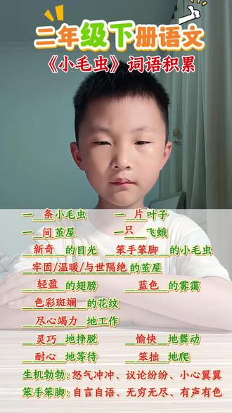 二年级下册语文——《小毛虫》重点词语积累~#小学语文 #知识分享 #每天学习一点点 #我在抖音写日记 #全抖音为2026高考加油