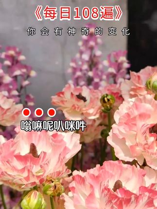 #非常好听的歌 #心态决定人生状态 #好听的音乐 #人生哲学 #心态
