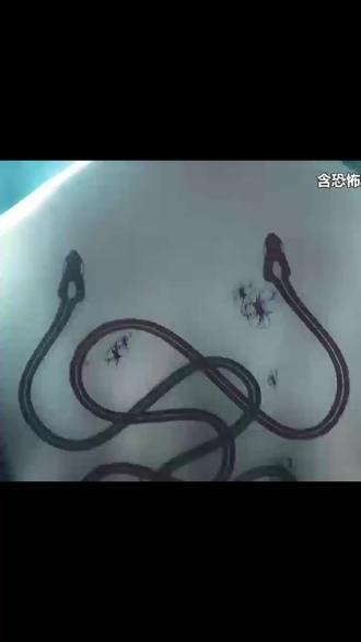 看完你就知道有多牛#影视解说 #奇幻片