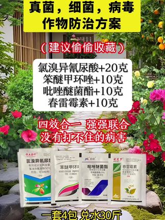 预防+治疗 上百种病害一套打净 除了豆角任何作物都可以使用#上热门#种植业#农业#农业知识 #每天分享更新