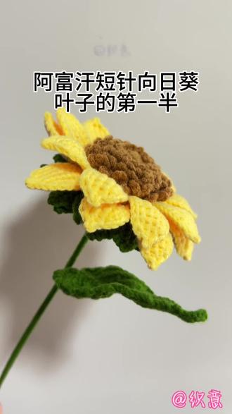 这里我把向日葵的叶子分成了两部分录制,比较详细,大家跟着慢慢学习,如果跟不上,可以钩到哪里就暂停到哪里#钩织教程保姆级 #创作者中心 #创作灵感
