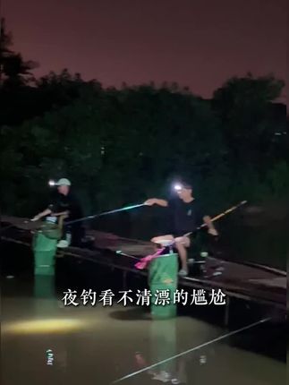 小凤仙一体夜光漂咬钩变色水晶硬尾日夜两用高灵敏浮漂钓鱼装备。#浮漂鱼漂 #日夜两用夜光漂 #小凤仙浮漂 #咬钩变色电子漂 #垂钓夜光漂