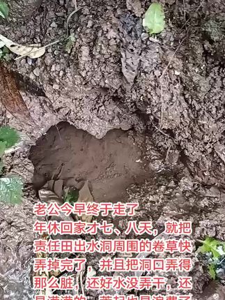 #农村生活记录