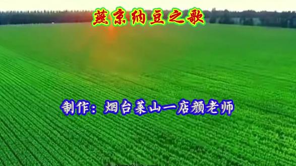 请欣赏《燕京纳豆之歌》小纳豆大健康!