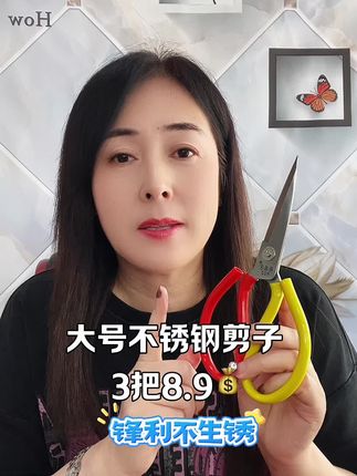 #剪刀#不锈钢剪刀#大号剪刀