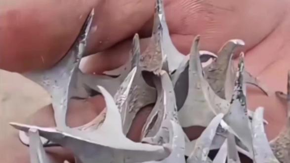 7月9日,甘肃阿克塞发生的真人真事,太可怕了