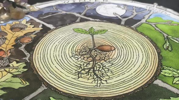 金星进入巨蟹座 敢想敢做 能量助推