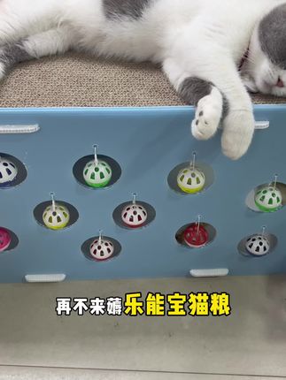 这猫粮真划算#猫粮 #我和我的猫 #喂猫日记