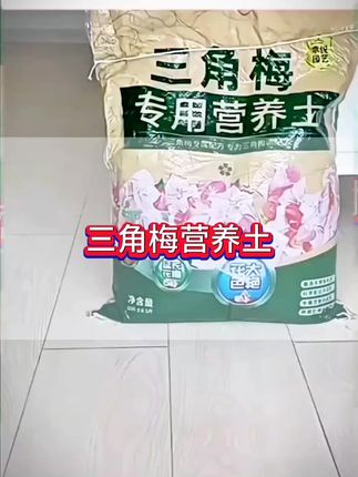 三角梅很多人都喜欢,但大部分人都养不好,建议选用这种专用的营养土,根据三角梅的生长特性,专研定制专属配方营养土,让三角梅根系更强壮,枝叶繁盛,海岸开花。#三角梅专用土 #三角梅营养土 #三角梅专用营养土 #三角梅 #养花小知识