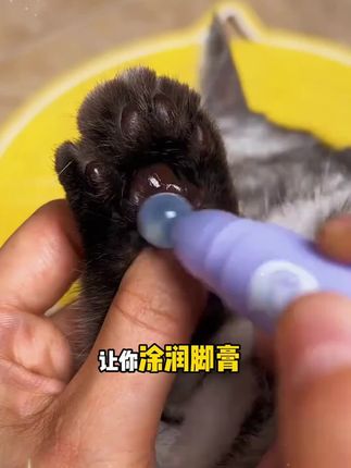 开颜宠物牛油果润足笔润鼻肉垫干裂滋养猫狗护爪润鼻膏舔舐无忧#宠物润足笔 #干裂 #滋养 #护爪 #润鼻膏