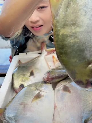 顺丰次日达【6条金鲳鱼400g/条】金鲳鱼新鲜海鱼海鲜水产鲜活冻F