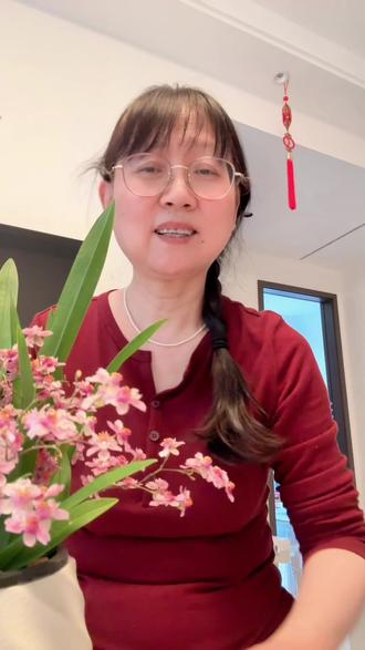 道歉!上次把文心兰和梦香兰讲错了!这次带硬核资料来纠正,科属、花剑、香味一次分清,养花人再也不踩坑~#兰花科普 #文心兰养护#种草激励计划 #抖音真实生活分享