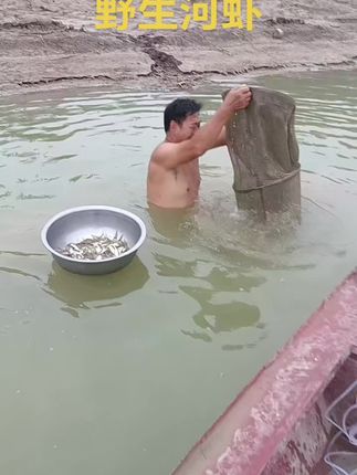 #现场实拍,补野生河虾