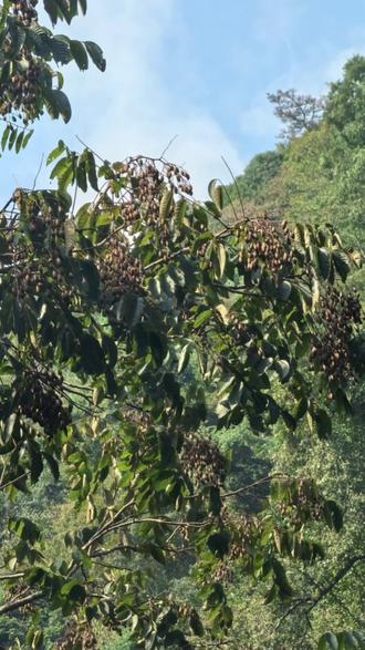 读《爱的教育》第八、九章