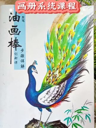 简单有趣学画画 炭笔和彩色融汇的画法,让我们耳目一新的简单创新画法,有课本画册和视频讲解,学画画原来这么简单啊!#零基础学画画 #一起学画画 #创意美术 #画册