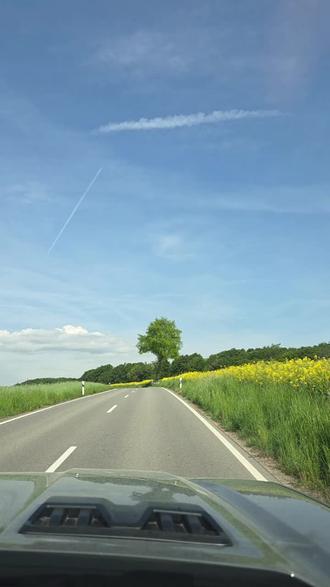 在麦浪和油菜花黄间兜兜风#路肩标识